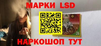 крисы Кунгур