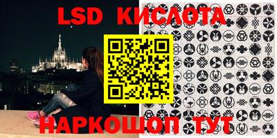 крисы Кунгур