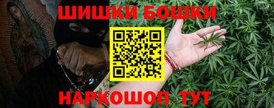 крисы Кунгур